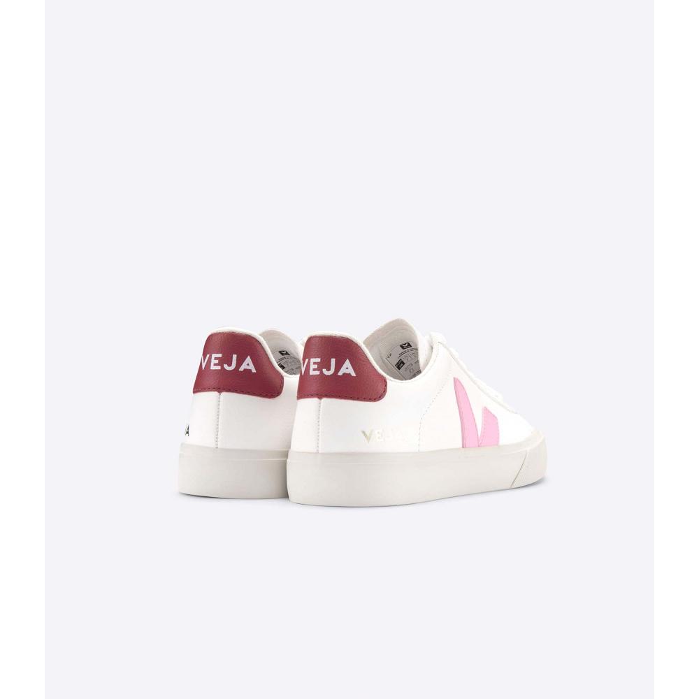 Low Tops Sneakers ανδρικα Veja CAMPO CHROMEFREE White/Pink | GR 193WNB